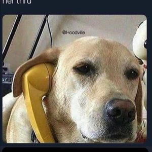 Meet your Posher, Ivery